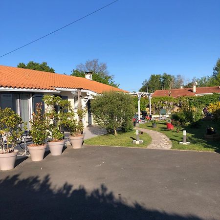 Bed and Breakfast La Pepiniere Saint-Sulpice-et-Cameyrac Zewnętrze zdjęcie